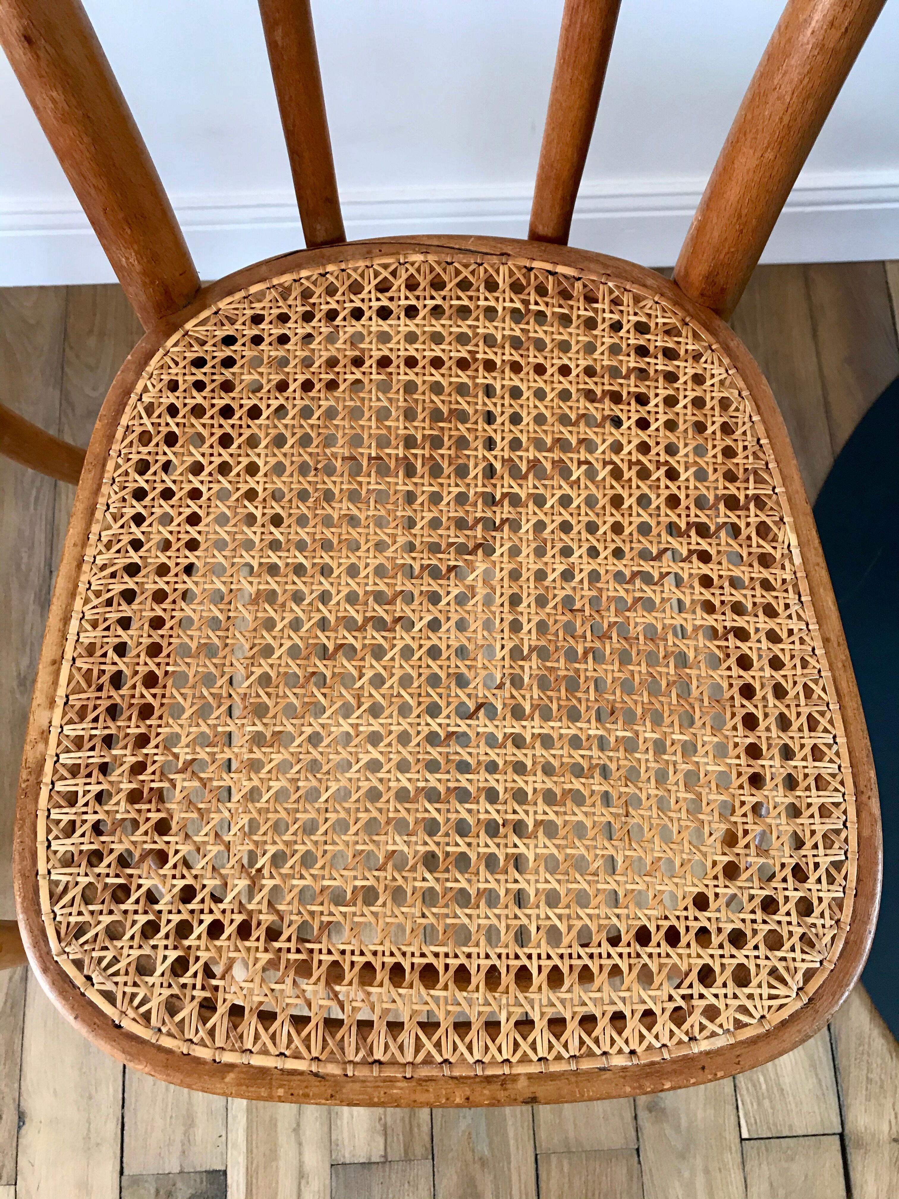 Set of 4 cane chairs in bentwood and honey-coloured cane thonet early 20th century