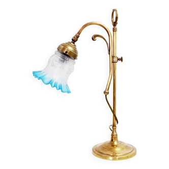 Brass gooseneck lamp and glass tulip