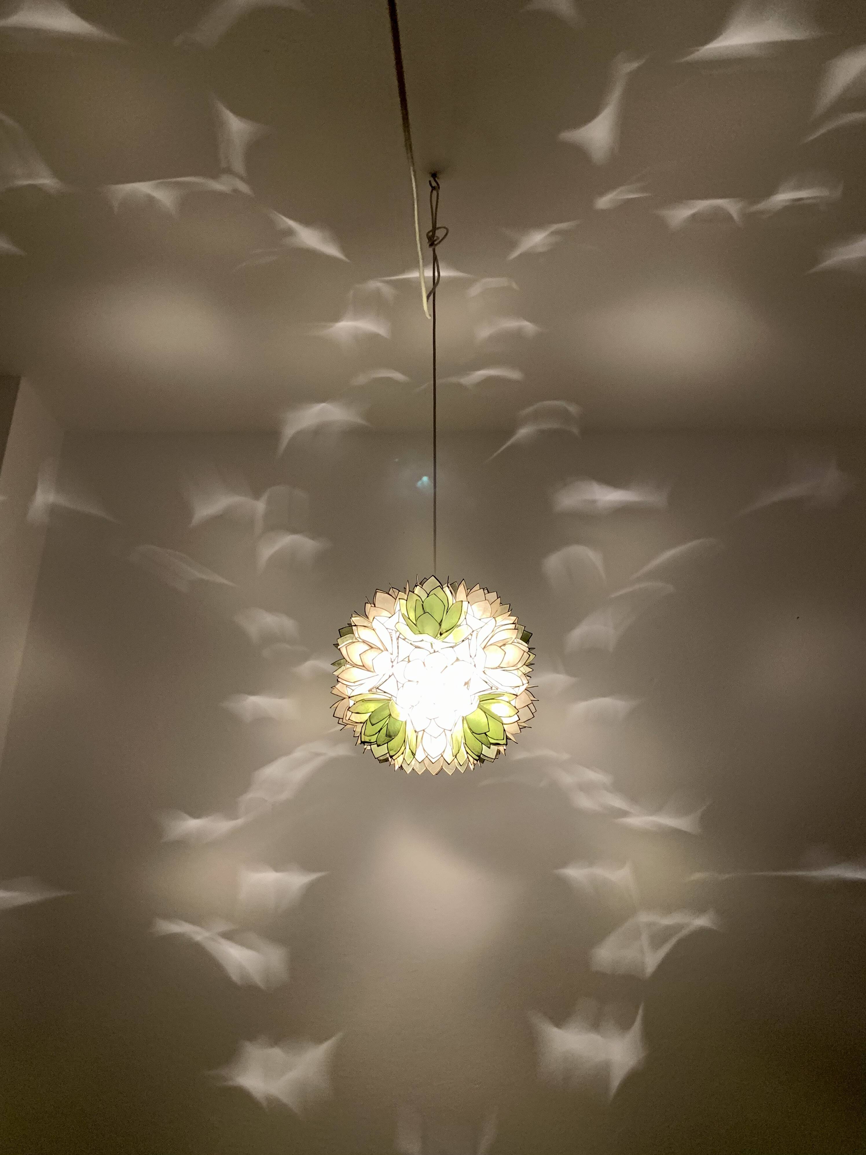 Capiz Shell Pendant Lamp