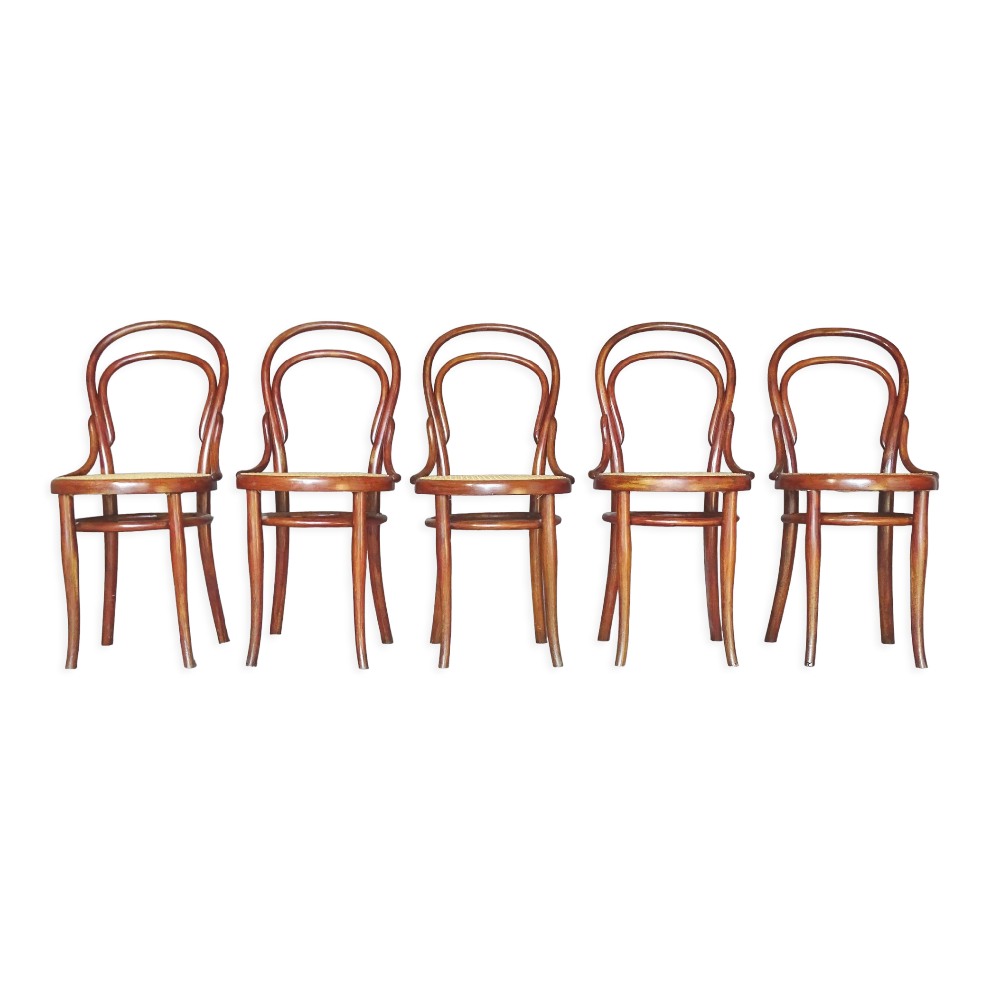 Set of 5 chair Thonet bistrot N°14 1/2 cans
