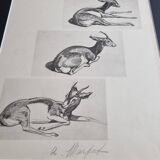 Illustrated plate, Gazelle Studies, Signed André Margat, 1930-1950