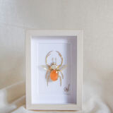 Broderie Haute-Couture