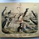 Engraving from 1886. Seabirds. Antique lithograph.