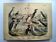 Engraving from 1886. Seabirds. Antique lithograph.