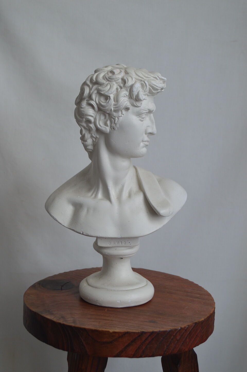 Buste de David en platre