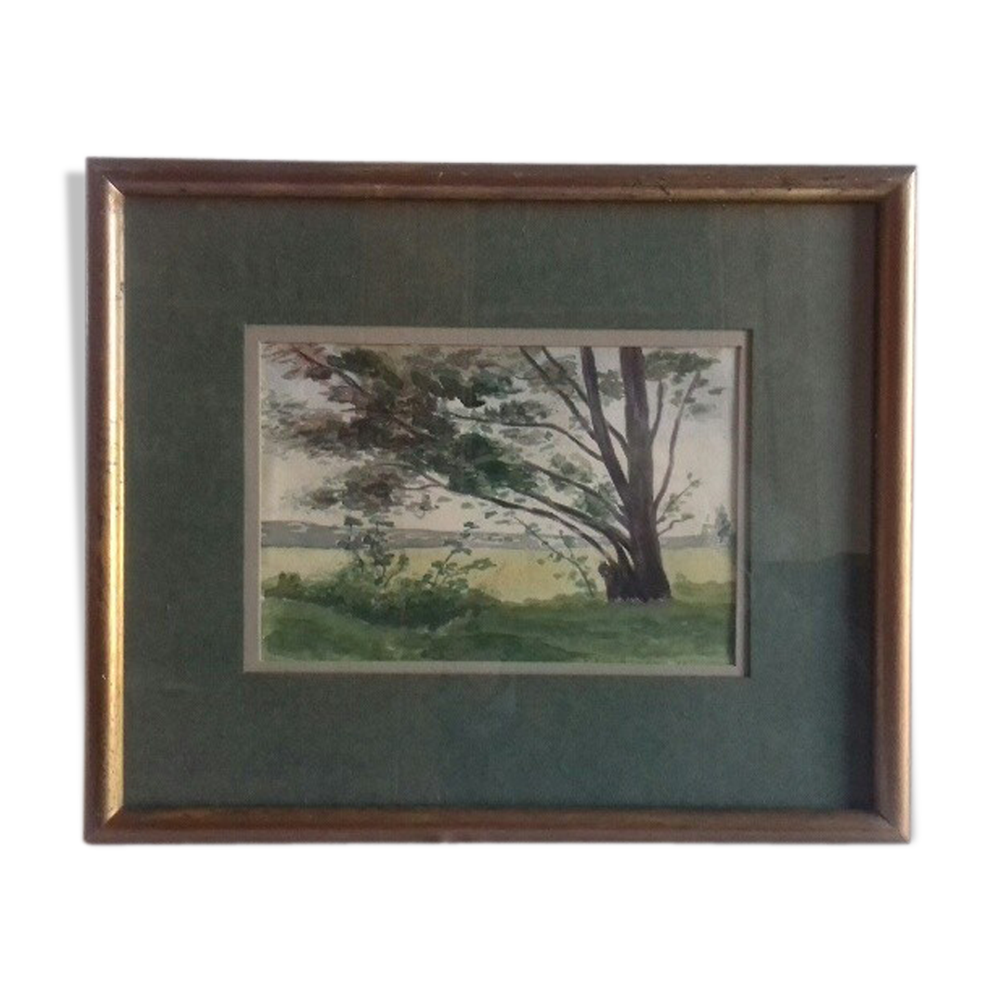 Aquarelle " arbre penché "