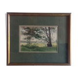 Watercolor "leaning tree"