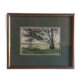 Aquarelle " arbre penché "