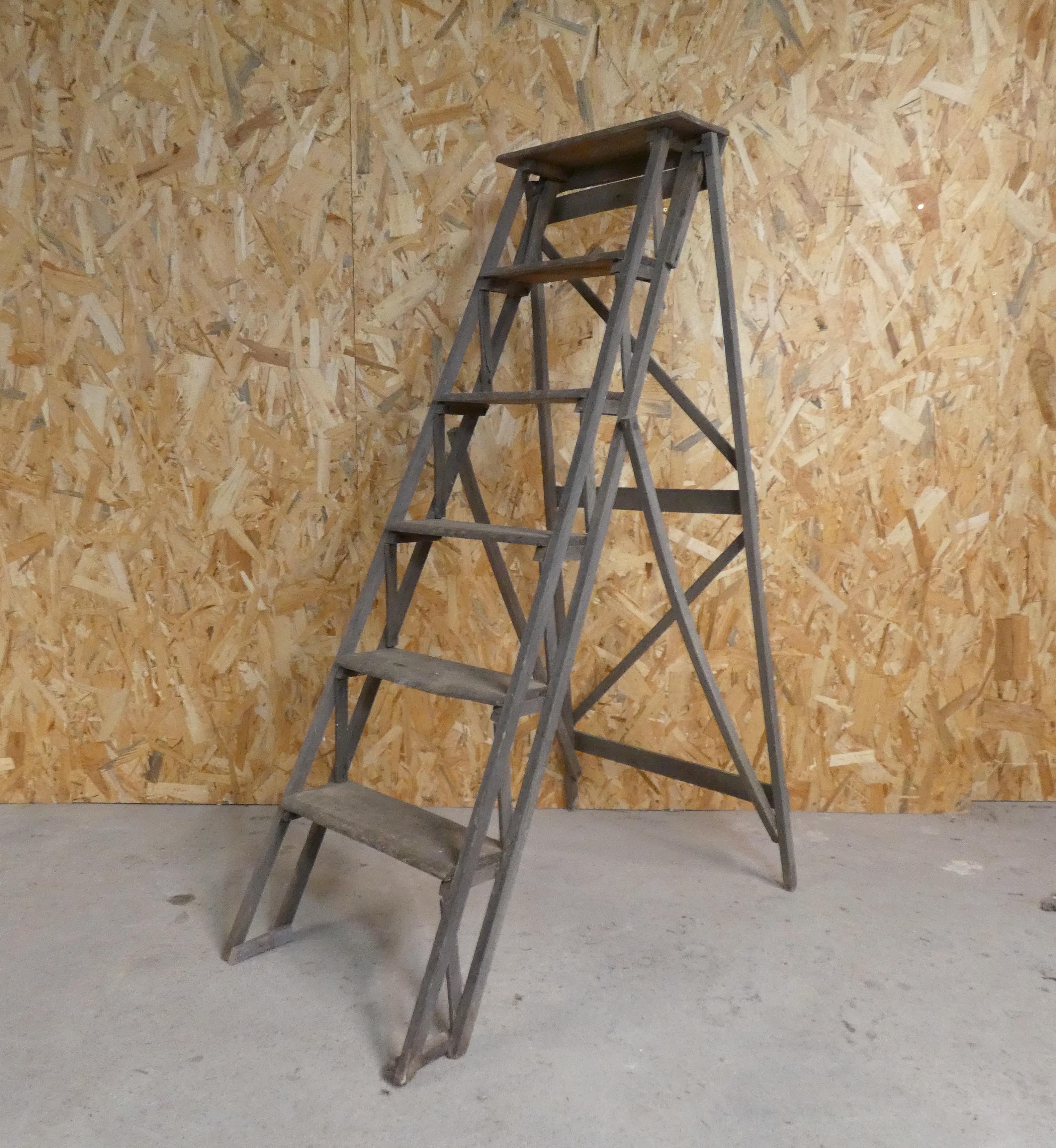 Former workshop stepladder