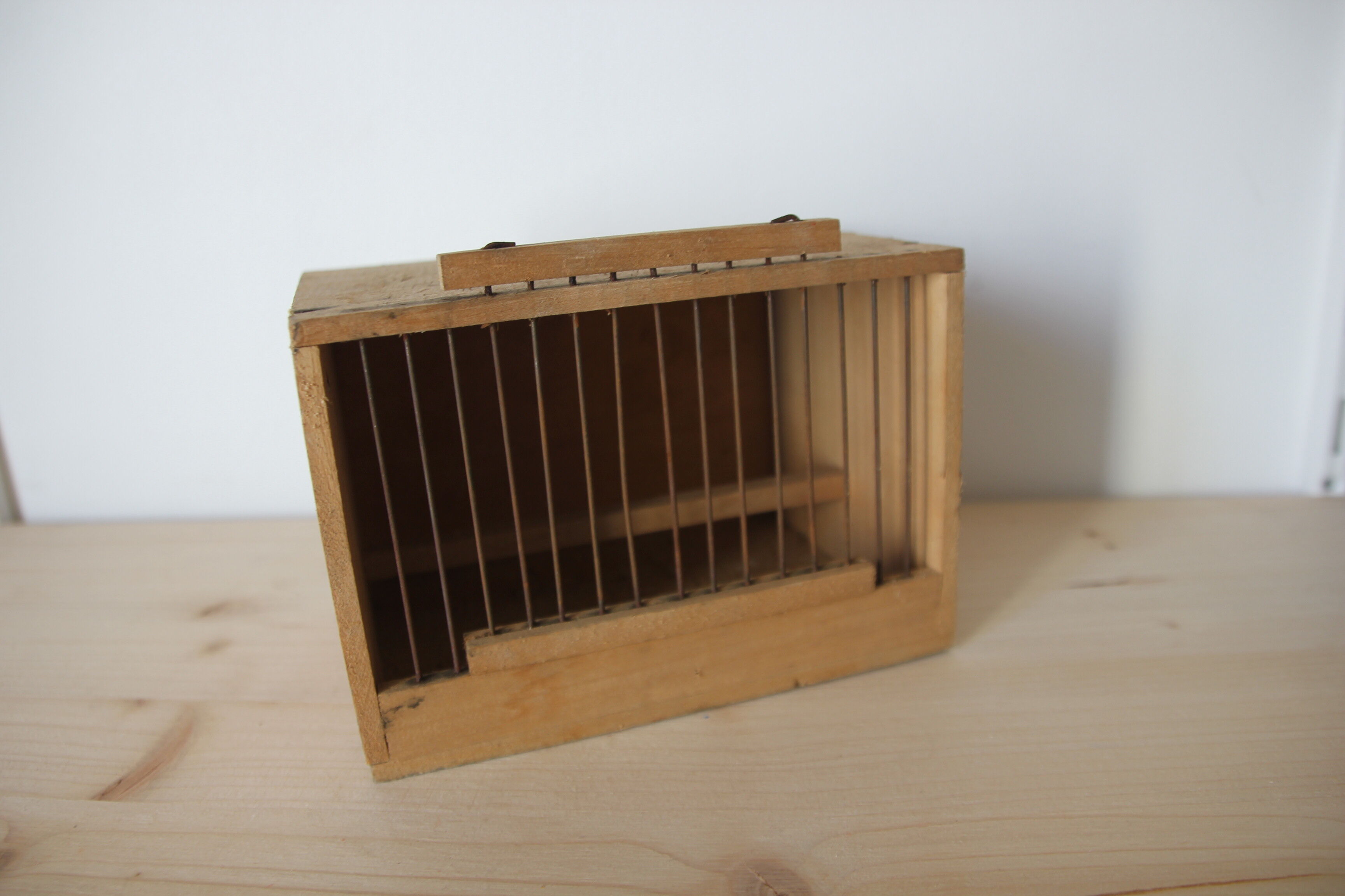 Cage à oiseau