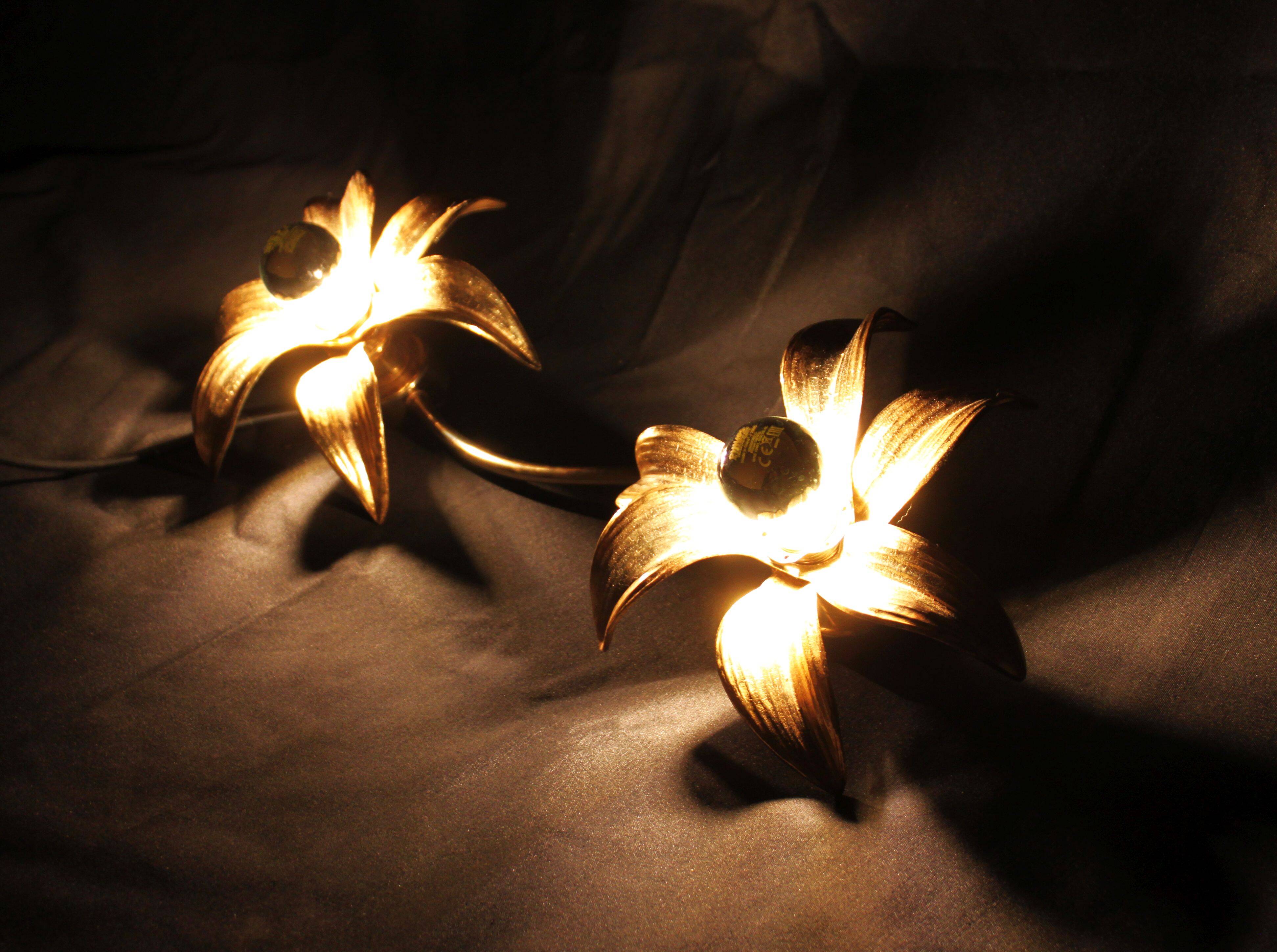 Two-flower wall light by Willy Daro, 1970