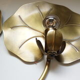 Waterlily wall lamps