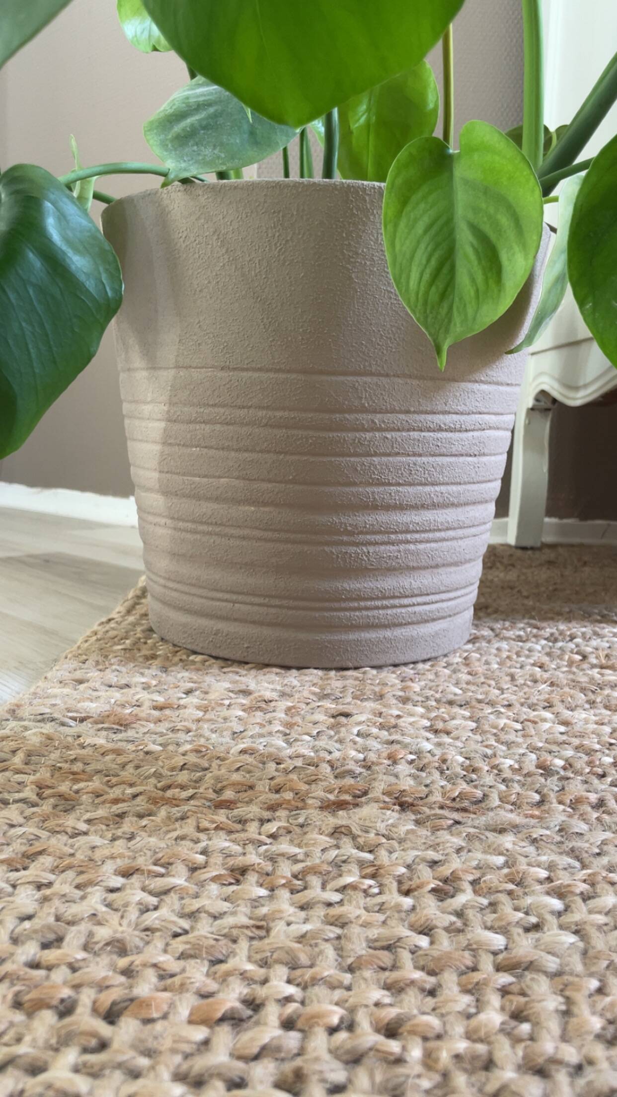 Textured beige cache-pot