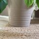 Textured beige cache-pot