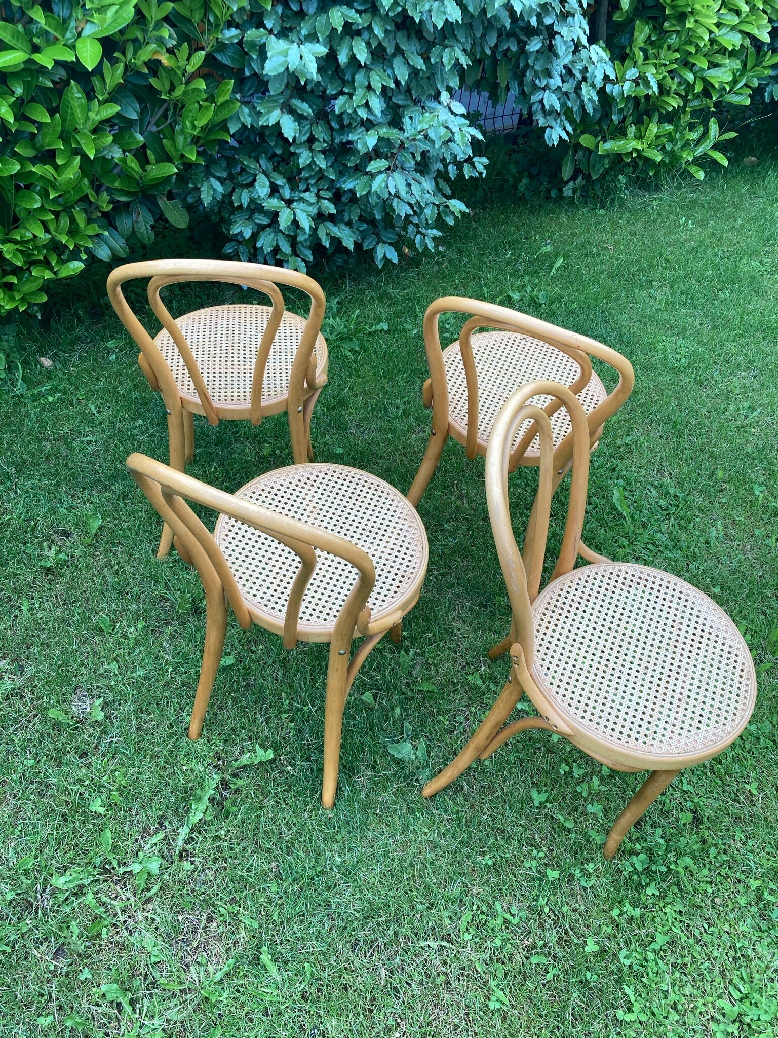 Set of 4 bistro chairs cannage honey color