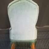 Glacier blue velvet toad heater