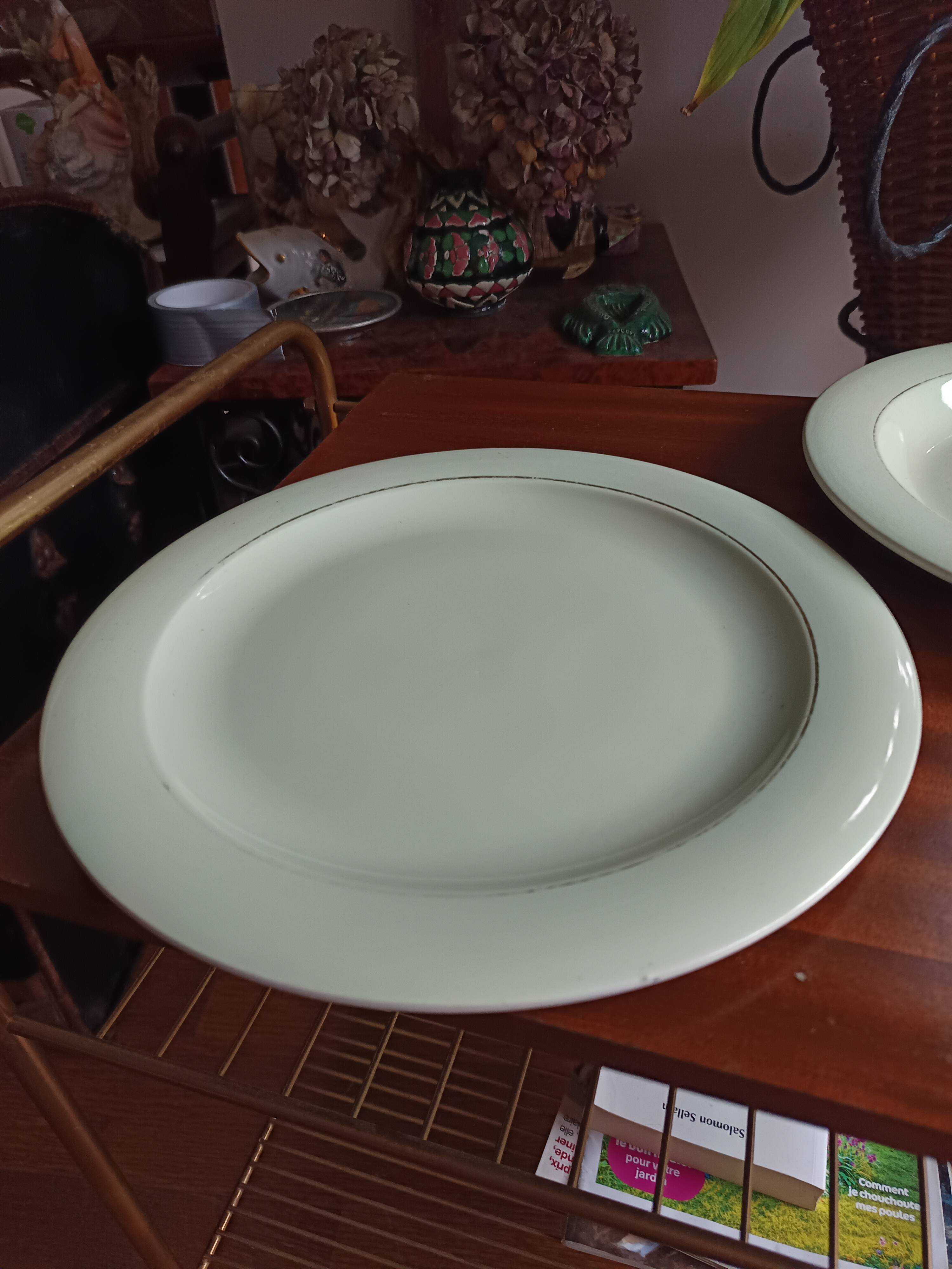 Vegetable dish with 2 platters and 2 small dishes, Salins earthenware, pale green Opaceline