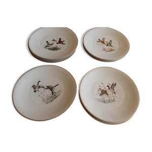 10 assiettes plates porcelaine