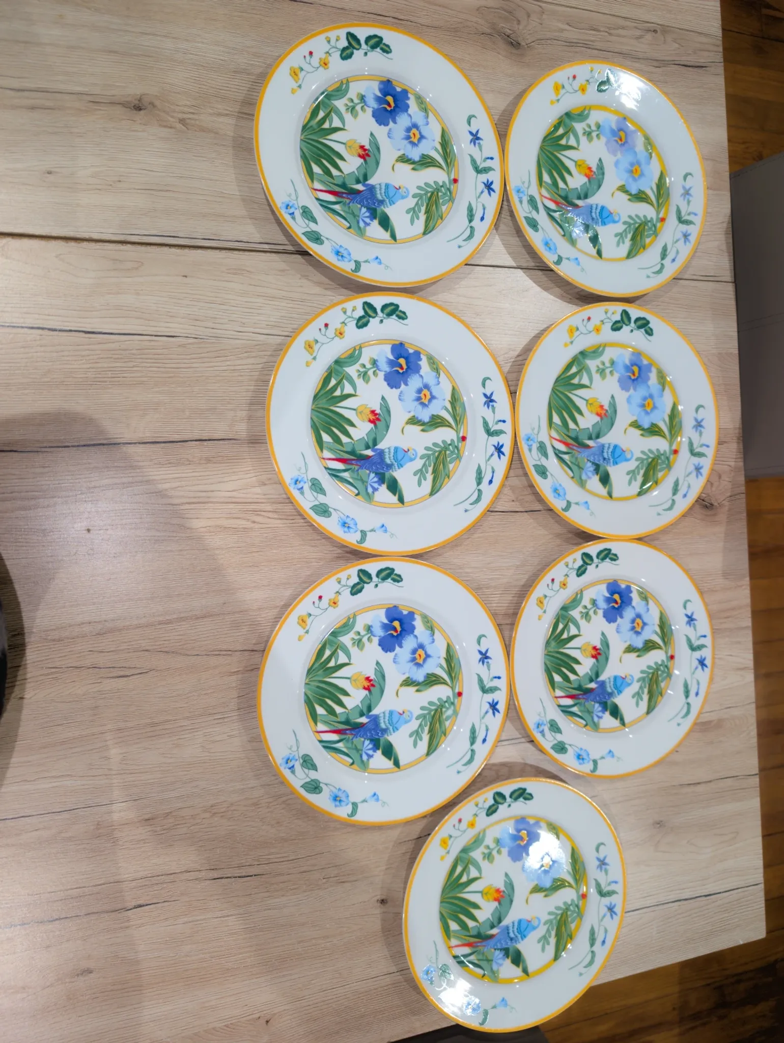 Lot 7 Large Flat Plates Porcelain ARA Pier Import