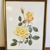 Lithographie florale