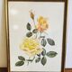 Lithographie florale