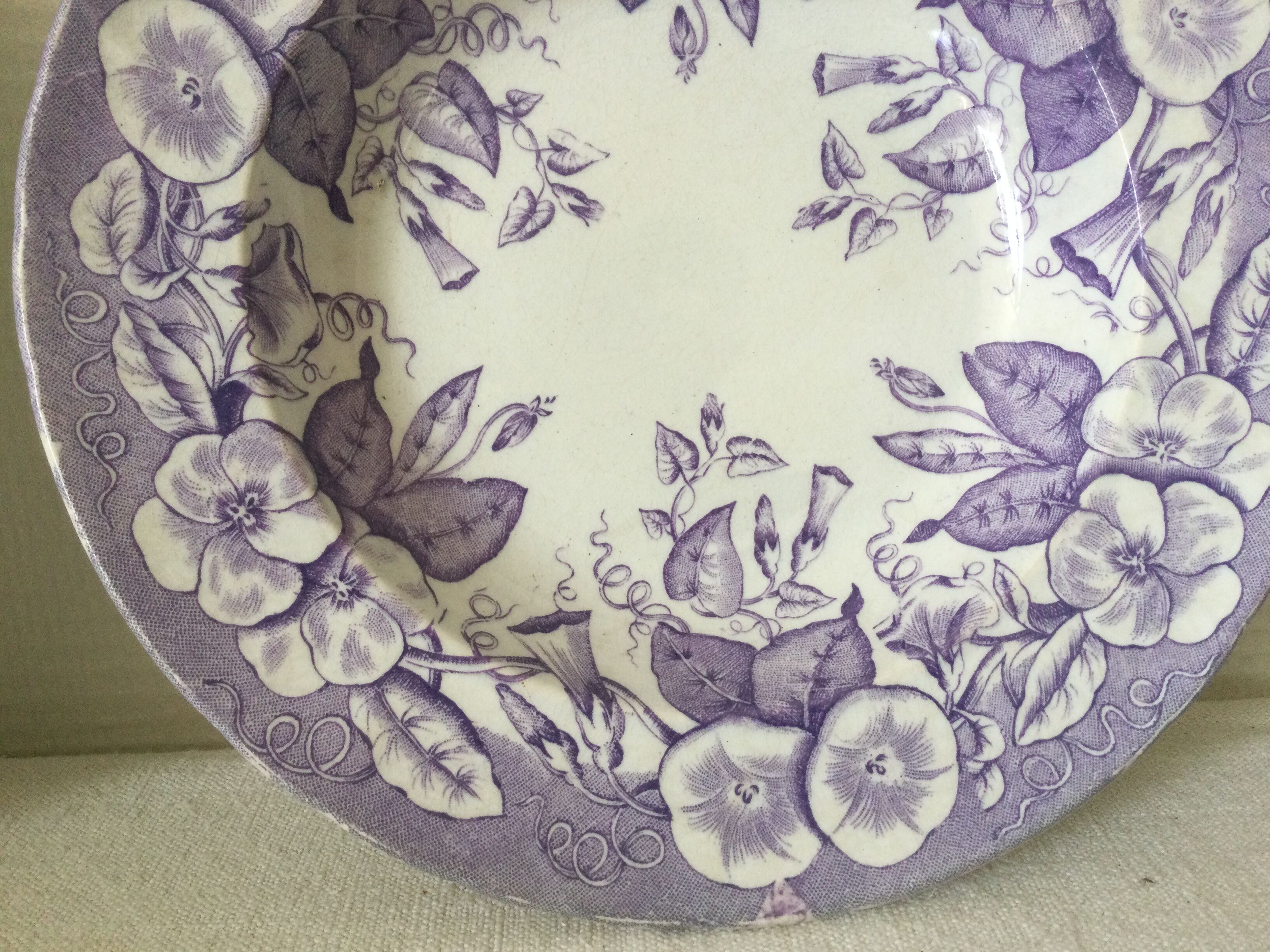 Volubilis Jules Vieillard Bordeaux model plates