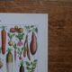 Lithographie originale sur les légumes et les plantes potagères