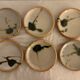 6 small bread plates enamelled pottery of the Vallauris Dove