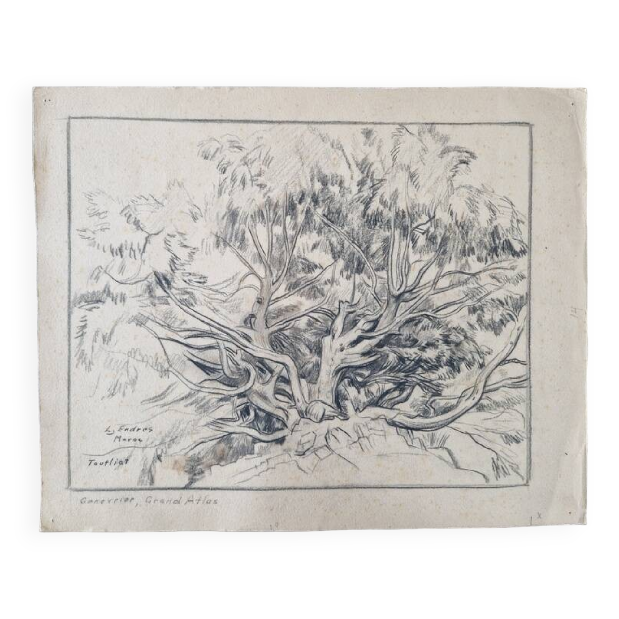 Louis John Endres (1896-1989) - Charcoal drawing on paper - Genevrier Toutliat, Grand Atlas Maroc