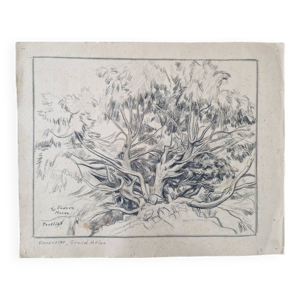 Louis john Endres (1896-1989)