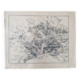 Louis John Endres (1896-1989) - Charcoal drawing on paper - Genevrier Toutliat, Grand Atlas Maroc