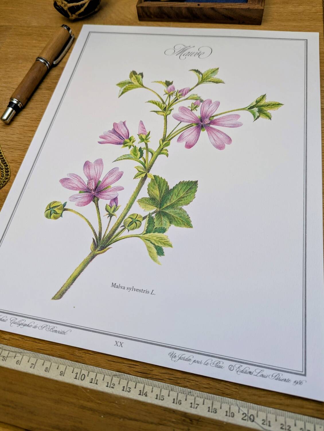 Printed in 1986, the Mauve. Vintage Botany.