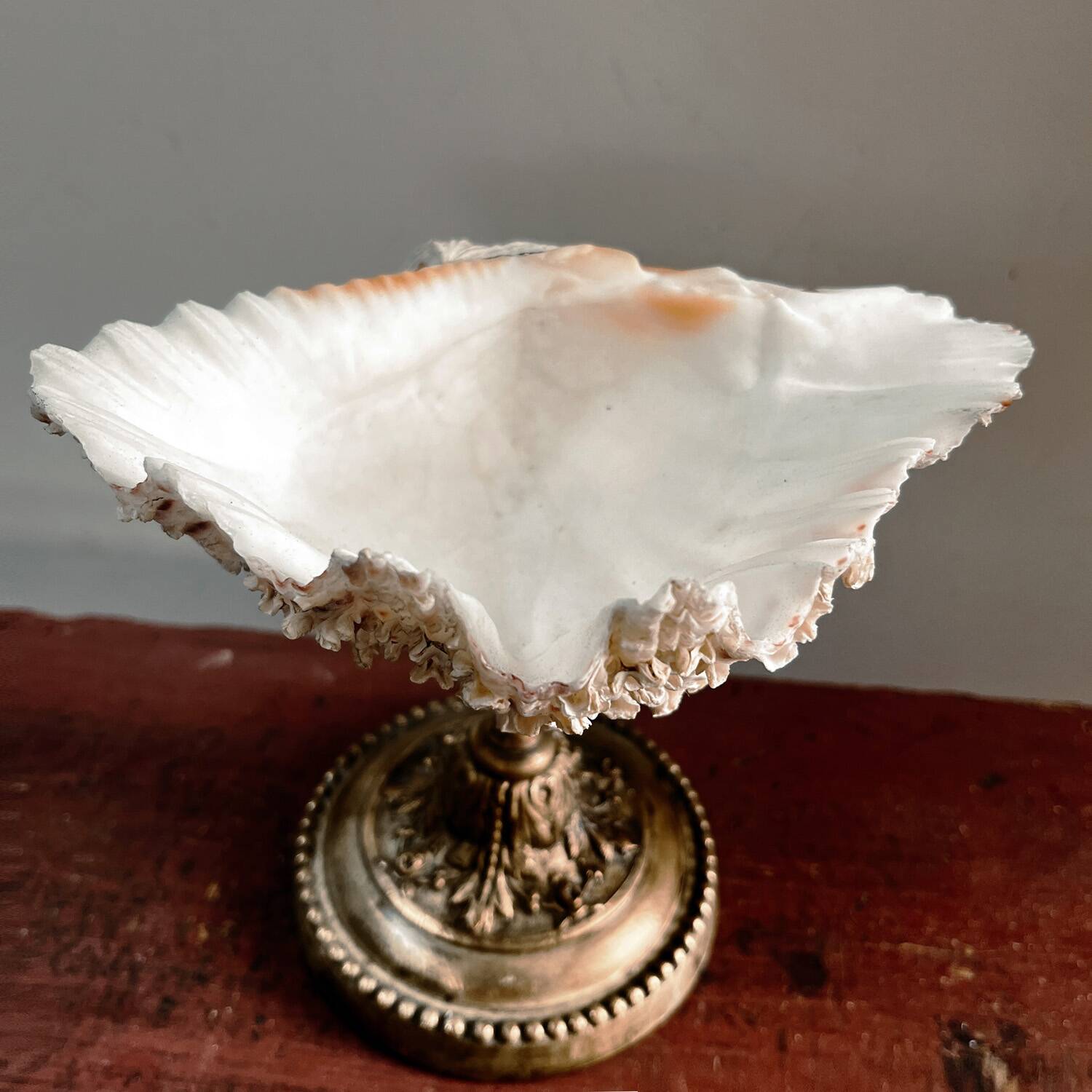 Shell-shaped dish or soap holder.