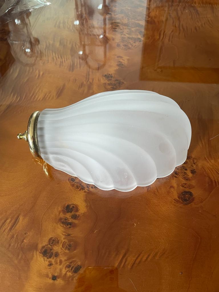 Shell wall lamp
