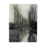 The canal