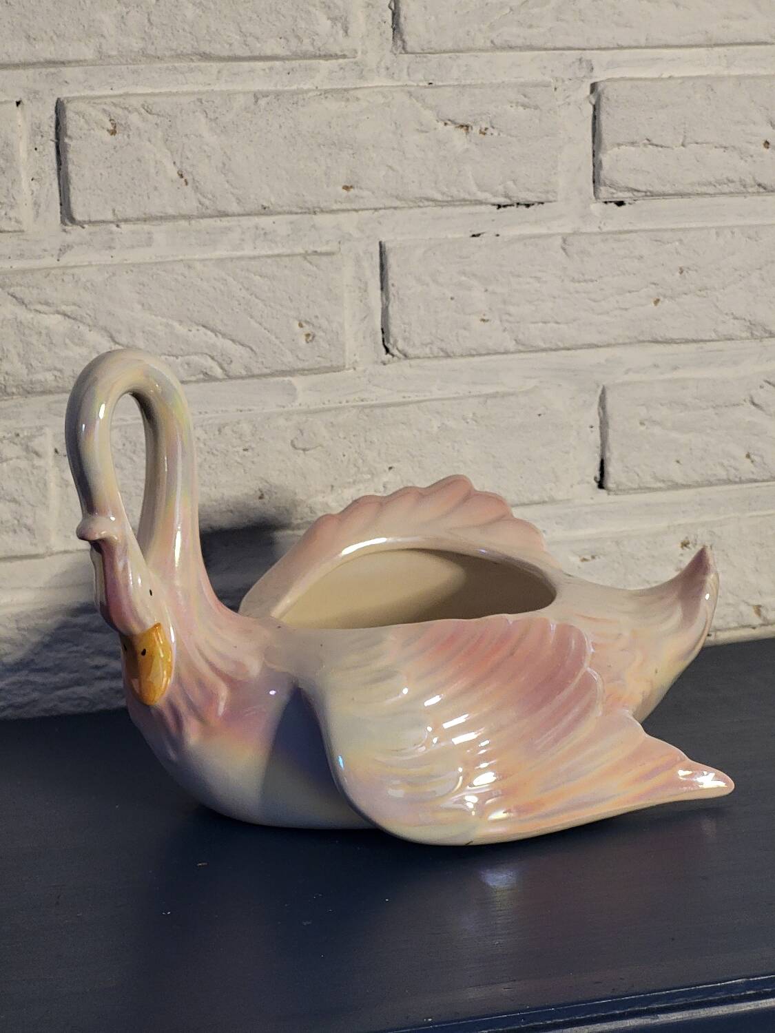 Swan plant pot