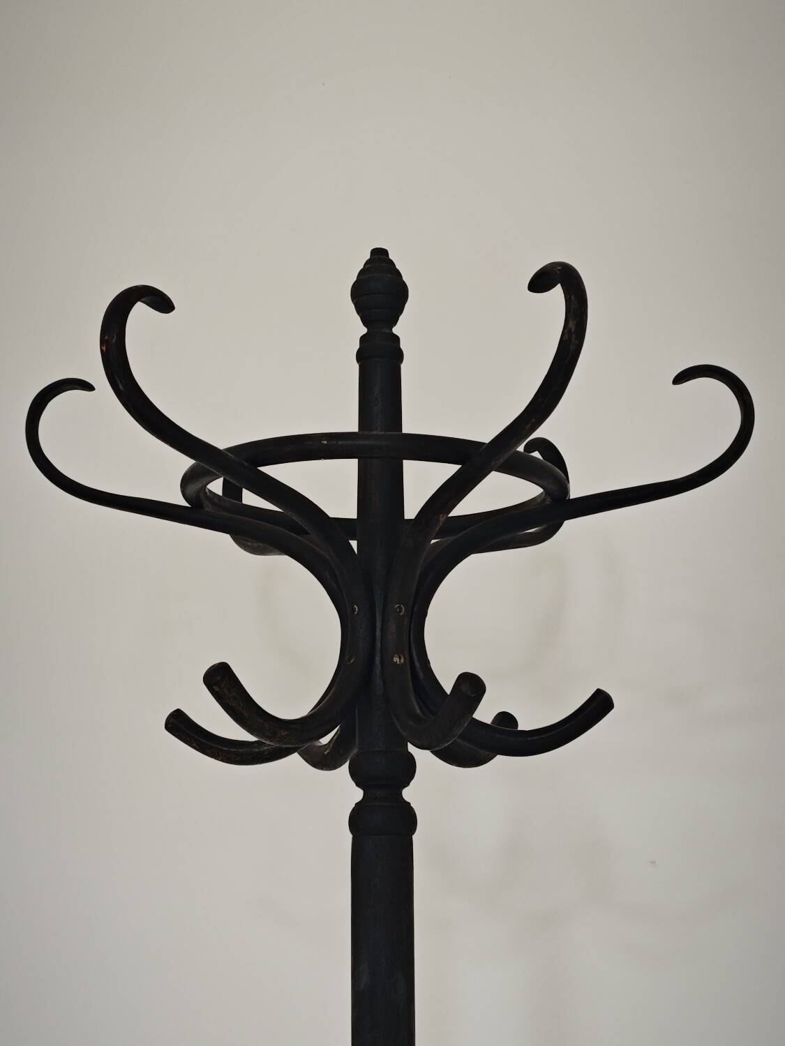 Porte manteau perroquet noir Baumann 1950