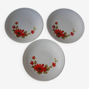 Lot de 3 anciennes assiettes rivanel décor floral années 1970/80 style arcopal