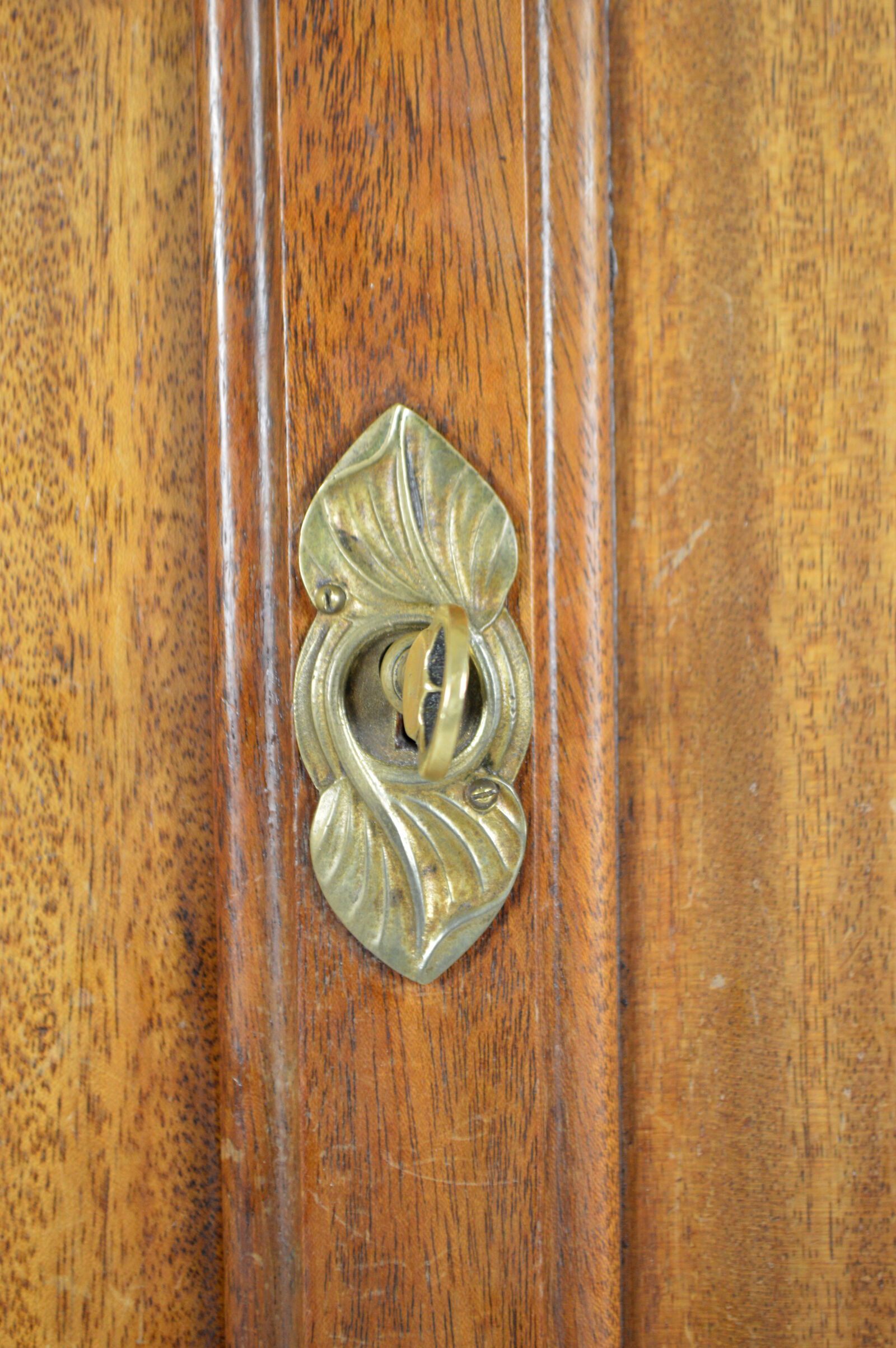 Art Nouveau wardrobe by Mathieu Gallerey in mahogany, model with Clematis, circa 1920