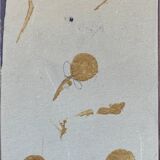 Bas relief painting / earth Beetle entomology A. Prudhomme Cabinet of curiosities