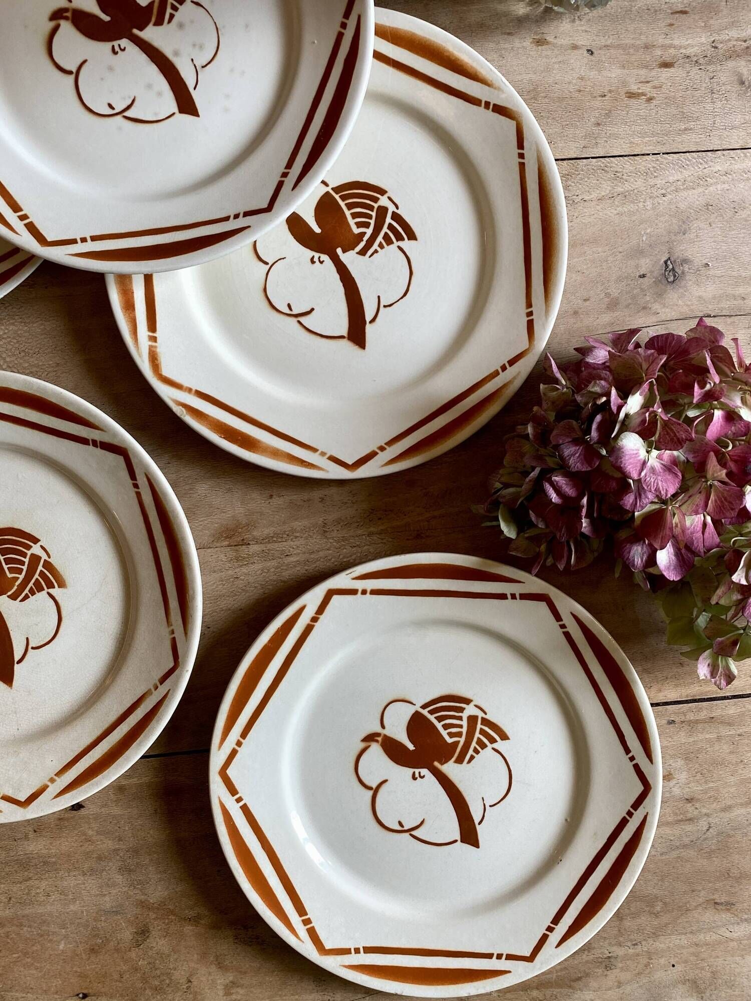 Set of 6 vintage flat plates in iron earth, Paradis de Badonvillier models