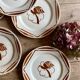 Set of 6 vintage flat plates in iron earth, Paradis de Badonvillier models