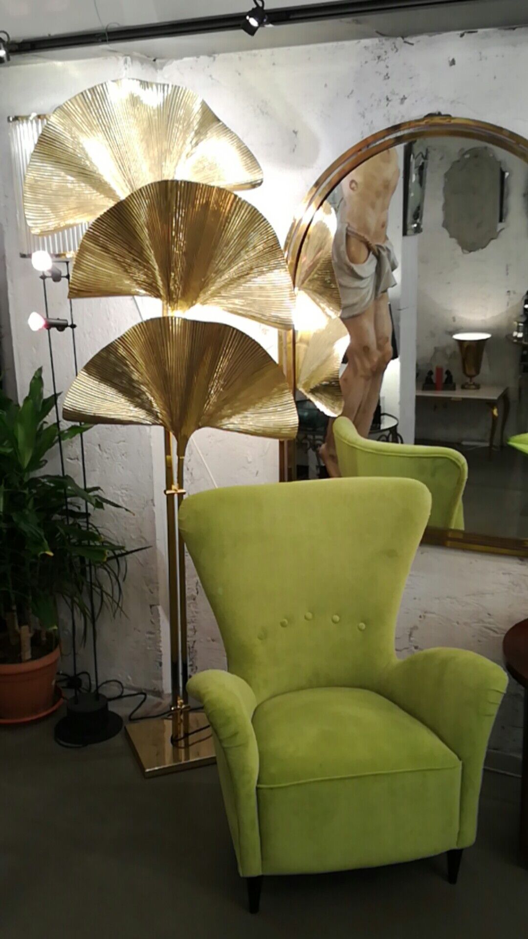 Gingko Floor Lamp by Tommaso Barbi 1950