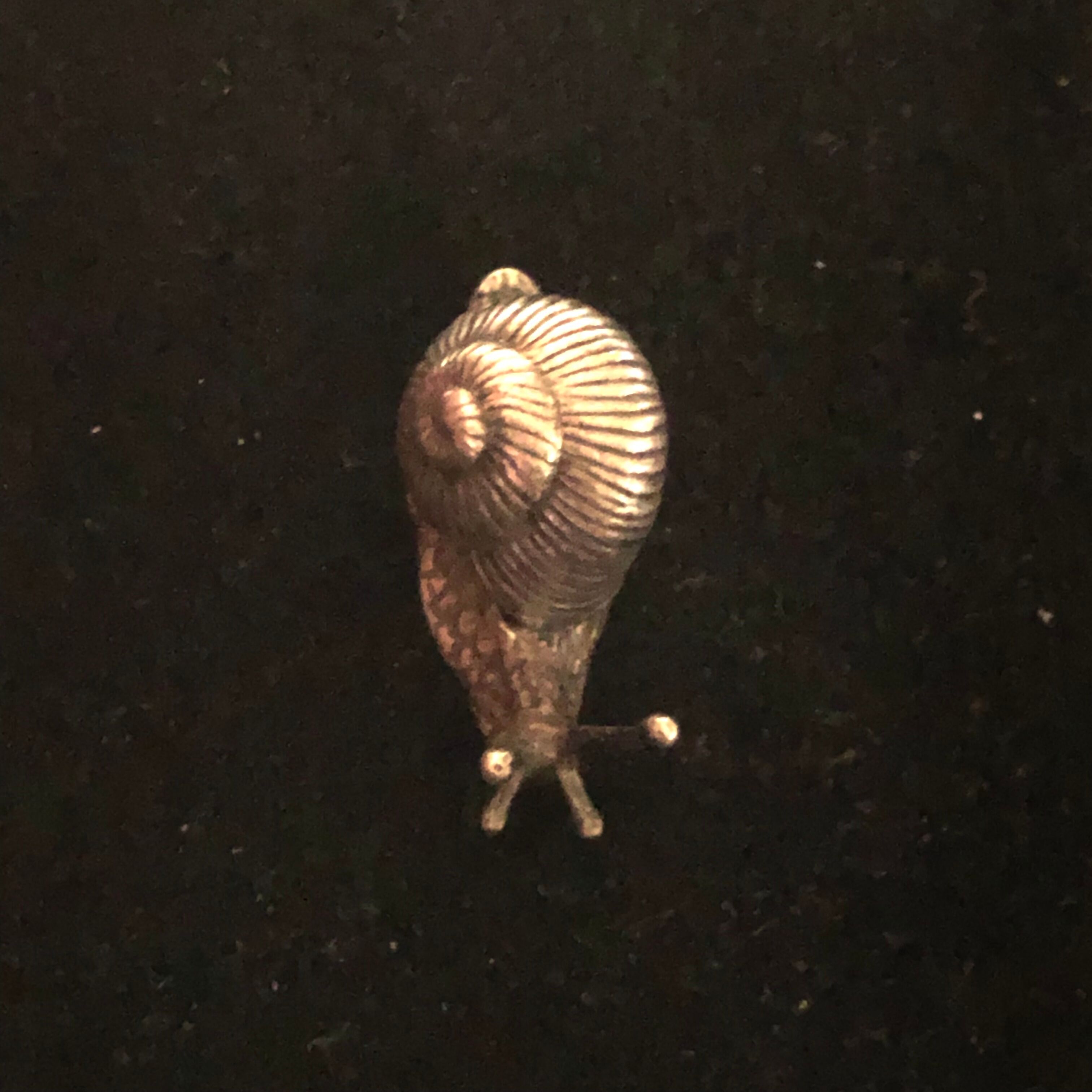 Small solid silver snail