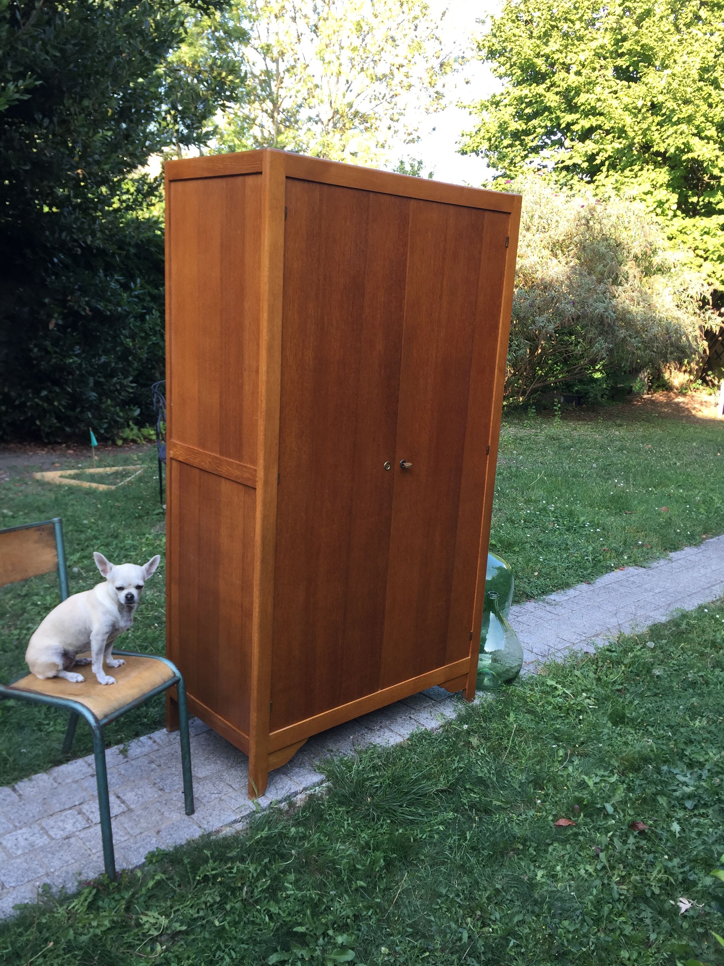 School vintage 1950 in blond oak wardrobe