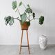 Plant stand made of wood and formica with two shelves, flower column