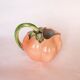 Pitcher slurry Tomato / Pumpkin