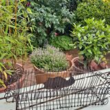 Wire planter