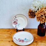 Set of 7 Badonviller Antibes plates with vintage floral decoration.