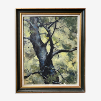 Table "Tree study" Russian school HSP signed N. Spoov +frame